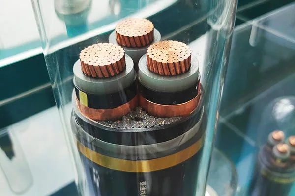 व्यापक सेवा सहायता