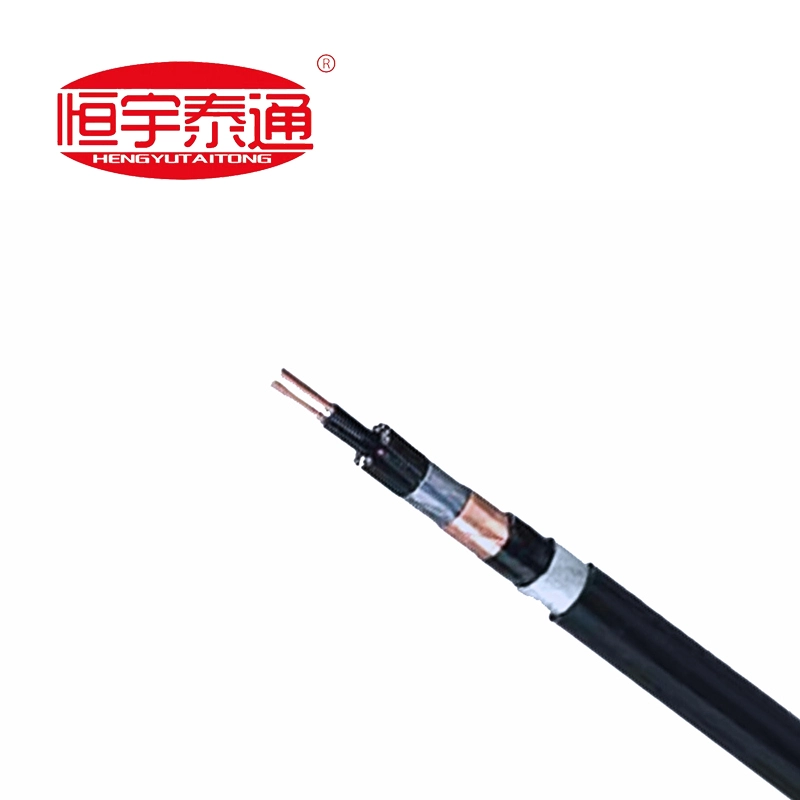 फ्लोरोप्लास्टिक इंसुलेटेड गर्मी प्रतिरोधी विशेष केबल